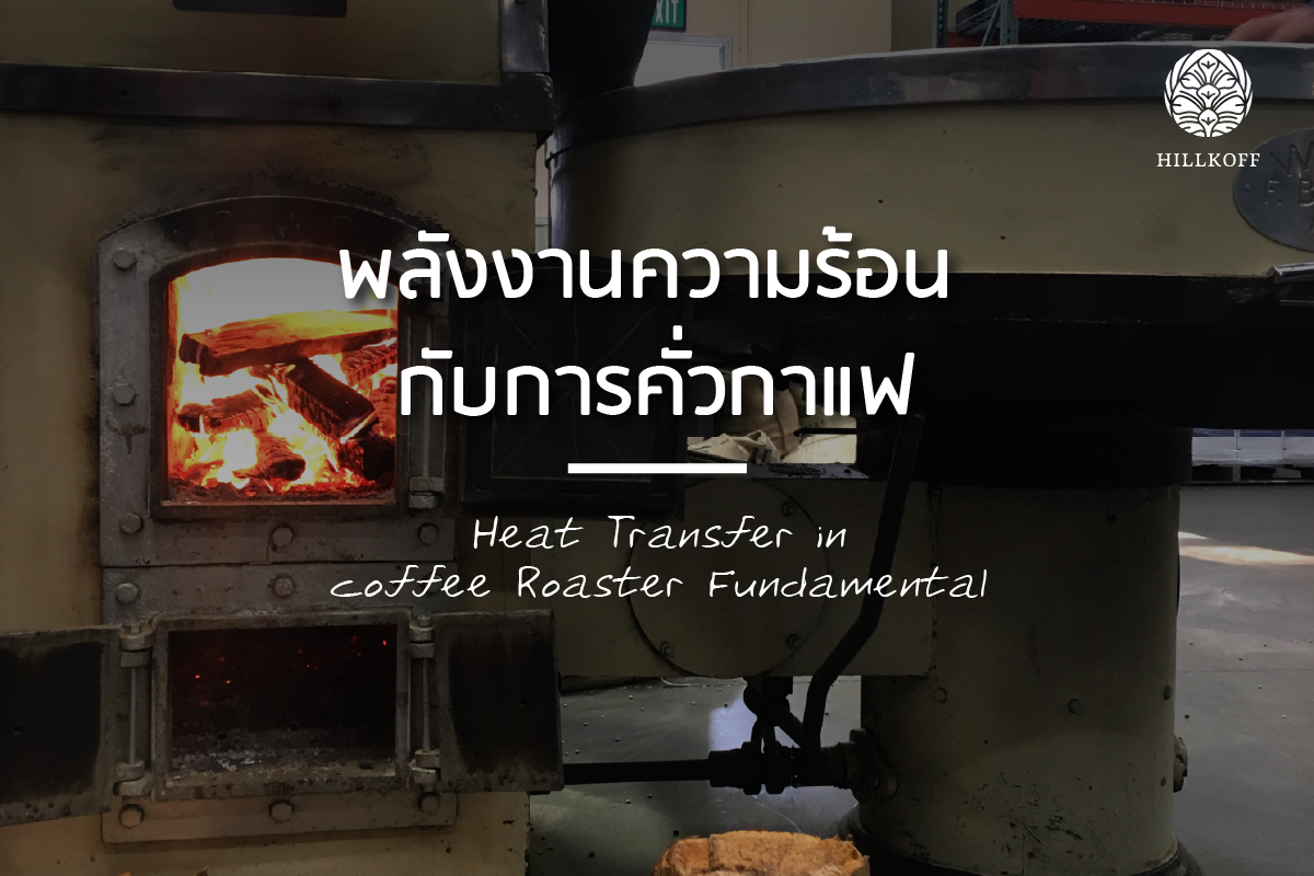 You are currently viewing พลังงานความร้อน กับการคั่วกาแฟ  Heat Transfer in coffee Roaster Fundamental